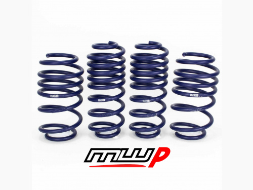 H&R Lowering spring kit for a VE Commodore: Vauxhall VXR8